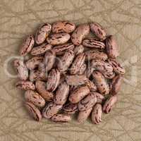 Circle of pinto beans