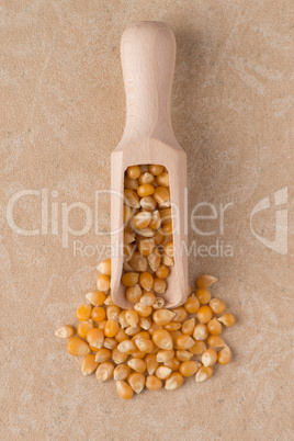 Wooden scoop with corn