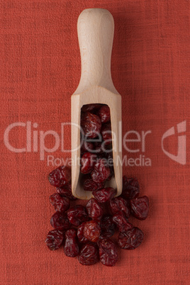 Wooden scoop with dried cranberries