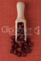 Wooden scoop with dried cranberries