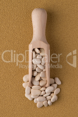 Wooden scoop with white beans Wooden scoop with white beans