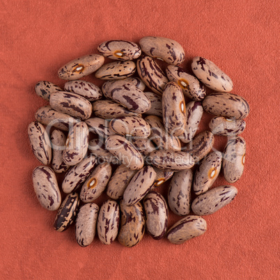 Circle of pinto beans