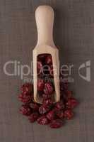 Wooden scoop with dried cranberries