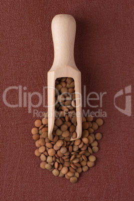 Wooden scoop with lentils