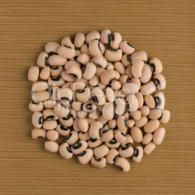 Circle of white beans