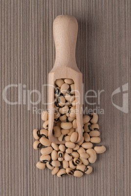 Wooden scoop with white beans