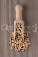 Wooden scoop with white beans