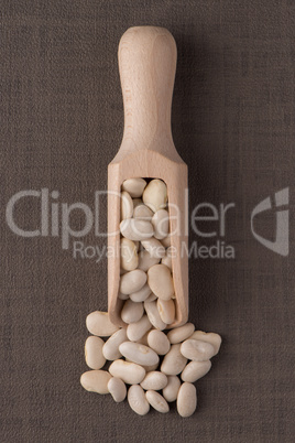 Wooden scoop with white beans