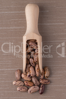 Wooden scoop with pinto beans