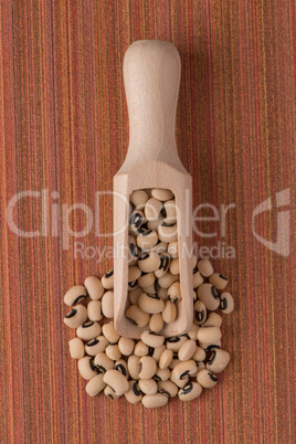 Wooden scoop with white beans