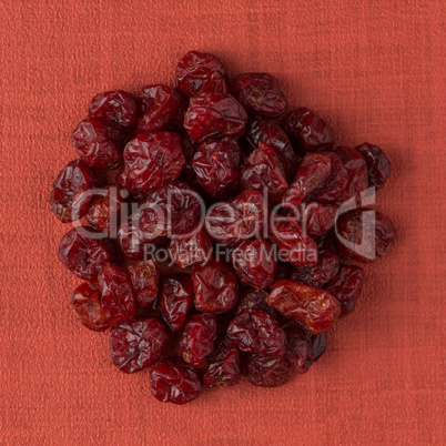 Circle of dried cranberries