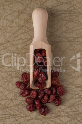 Wooden scoop with dried cranberries