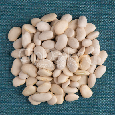 Circle of white beans