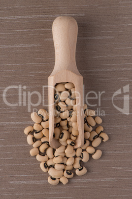 Wooden scoop with white beans