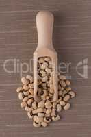 Wooden scoop with white beans