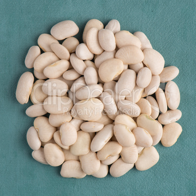 Circle of white beans