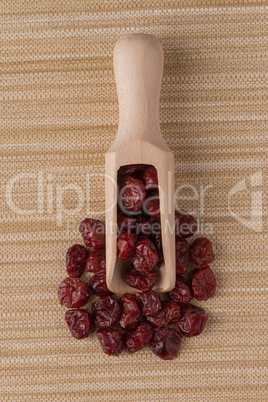 Wooden scoop with dried cranberries