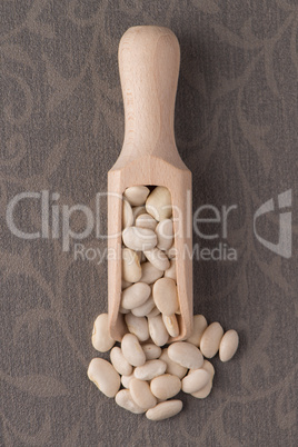 Wooden scoop with white beans