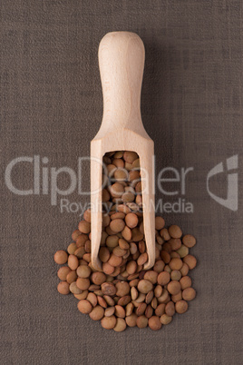 Wooden scoop with lentils