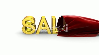 Presentation of Sale