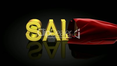Presentation of Sale