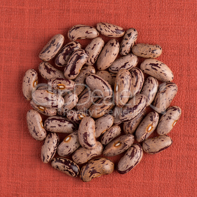 Circle of pinto beans