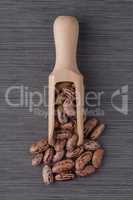 Wooden scoop with pinto beans