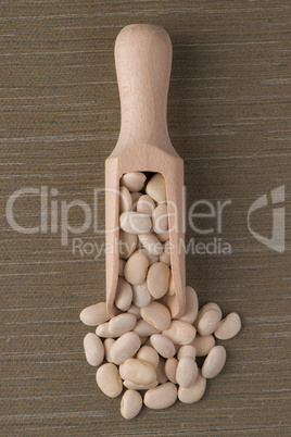 Wooden scoop with white beans Wooden scoop with white beans