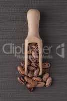 Wooden scoop with pinto beans