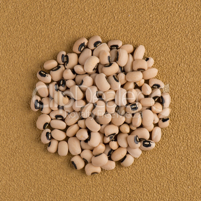 Circle of white beans Circle of white beans