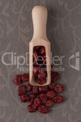 Wooden scoop with dried cranberries