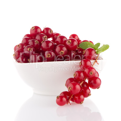 Red Currants