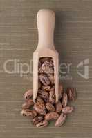 Wooden scoop with pinto beans