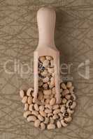 Wooden scoop with white beans