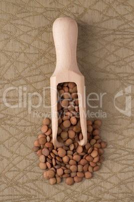 Wooden scoop with lentils