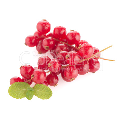 Red Currants