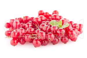 Red Currants