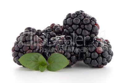 Blackberries with leaves