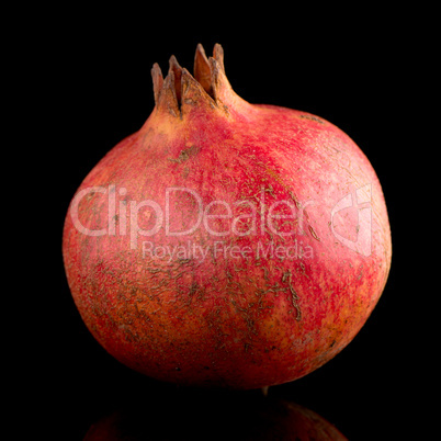 Ripe pomegranate fruit