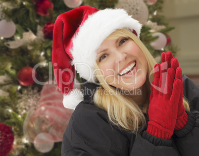 Smiling Woman in Santa Hat In Front of Christmas Tree