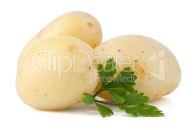 New potatoes and green parsley