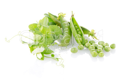 Fresh green pea pod