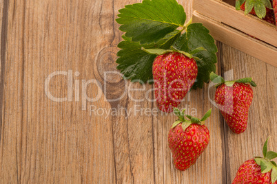 Strawberries