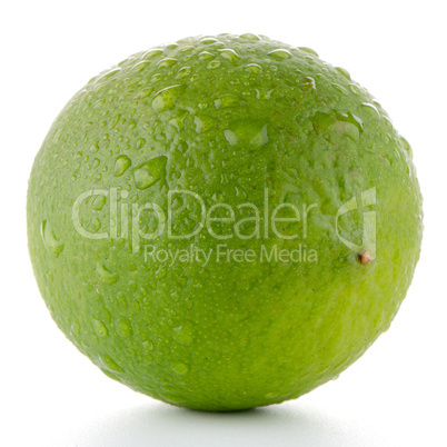 Fresh green lime Fresh green lime