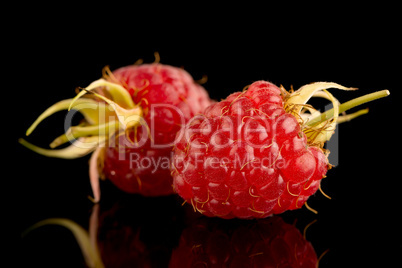 Fresh raspberries