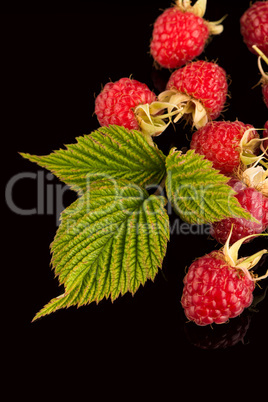 Fresh raspberries