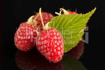 Fresh raspberries