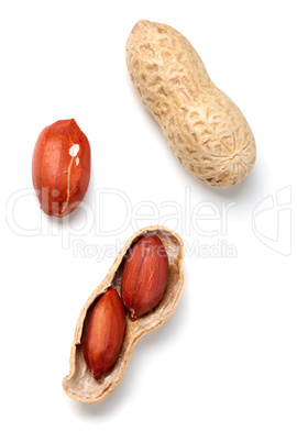 Peanuts on white background