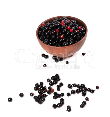 Blackcurrants and redcurrants in ceramic bowl