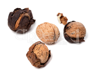 Walnuts isolated on white background